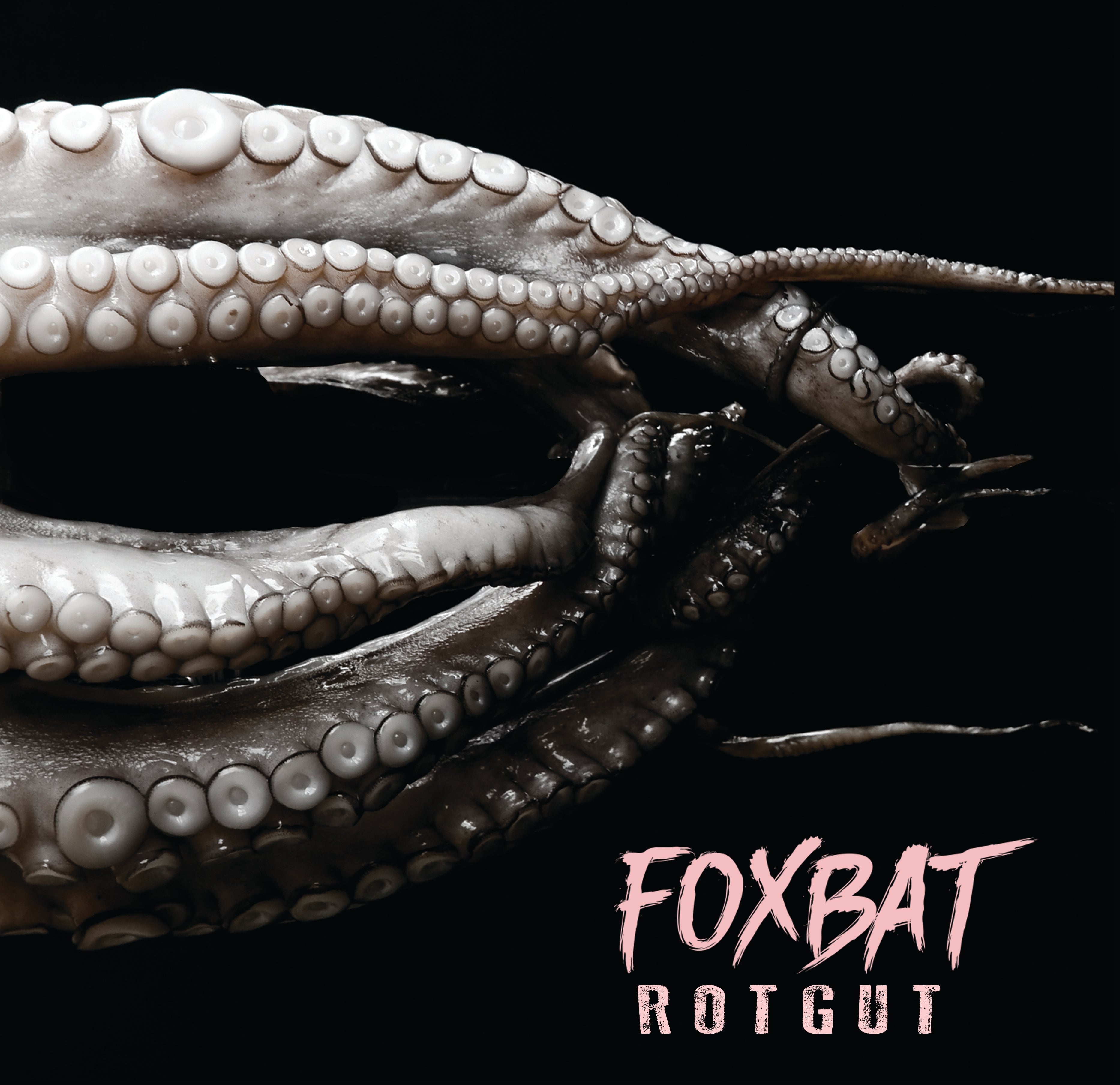 ROTGUT on CD/Vinyl